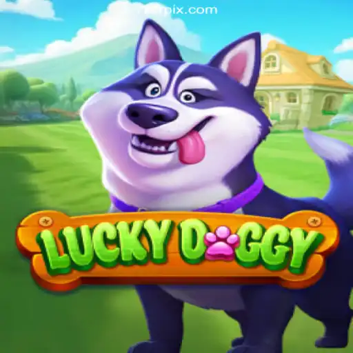 Exploring LuckyDoggy: Brazil's Top Betting Platform 