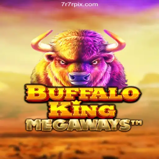 Experience the Thrill of BuffaloKing: A Top Choice on Brazil's Leading Betting Platform