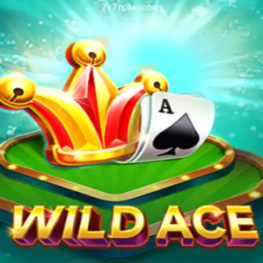 Exploring the Thrills of WildAce: Brazil's Top Betting Platform